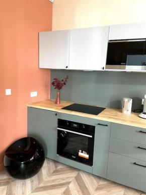 Appartement avec vue sur château - Metz